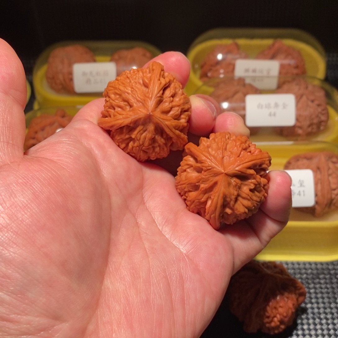 40御龙粗筋正球奔精品对