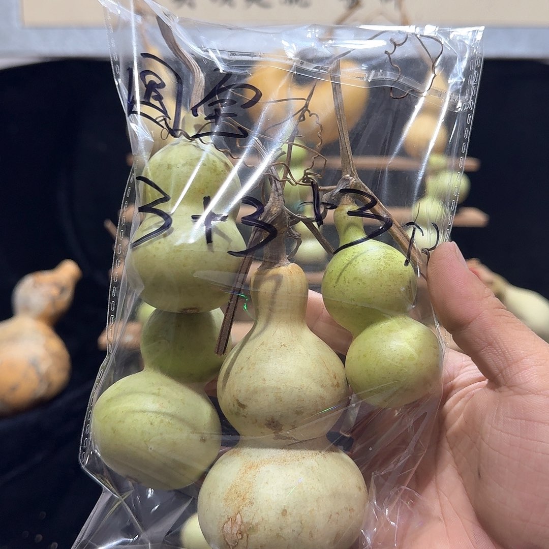 国*定向定向定向定向