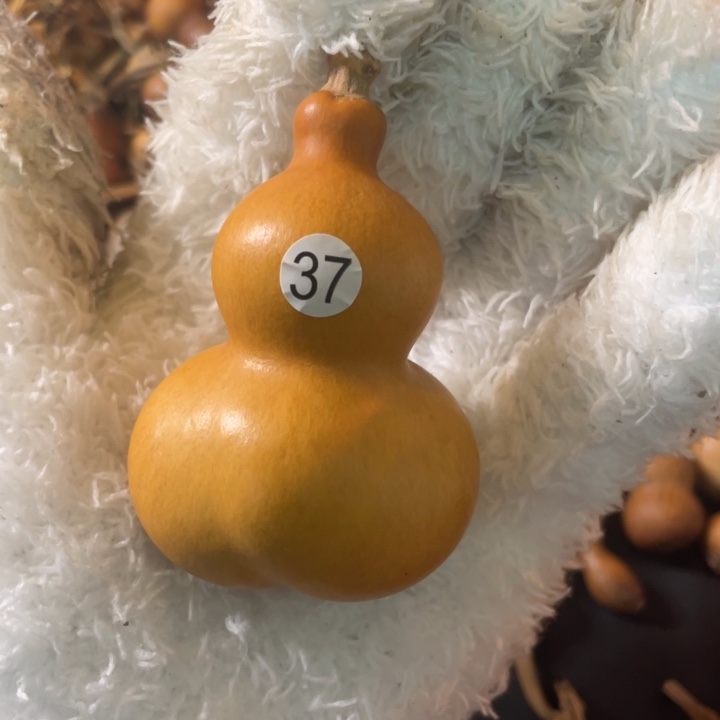 默认微瑕不保龙头