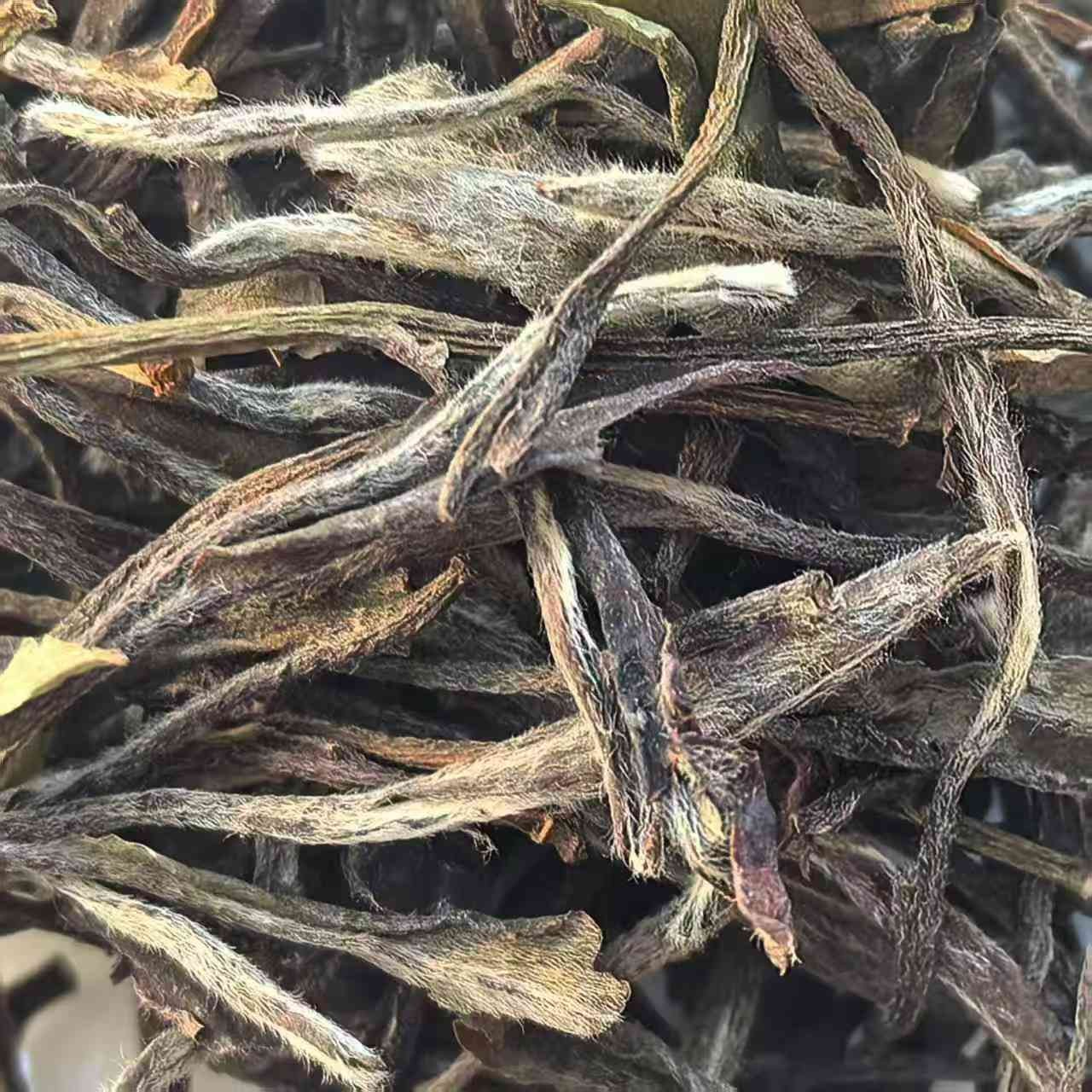 皆如意2018年二五区高山荒野特级白牡丹做透熟果香丨七年老白茶