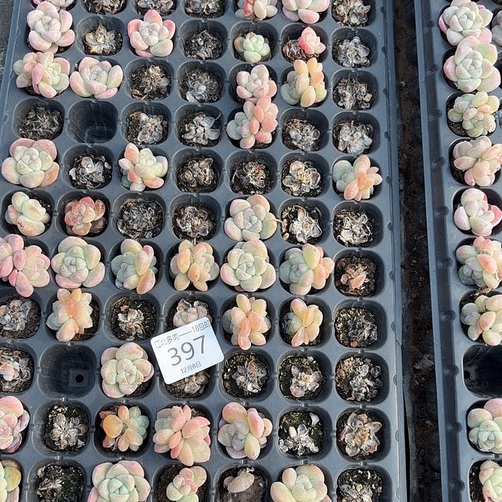 1***8397 号到手1框一物一