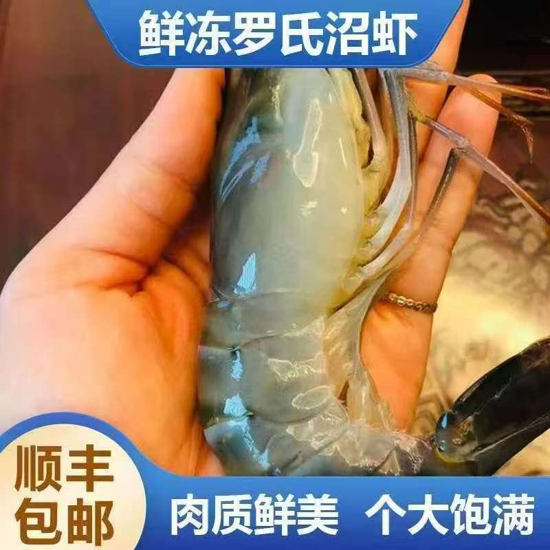 4斤罗氏虾液氮锁鲜 顺丰冷链包邮到家s