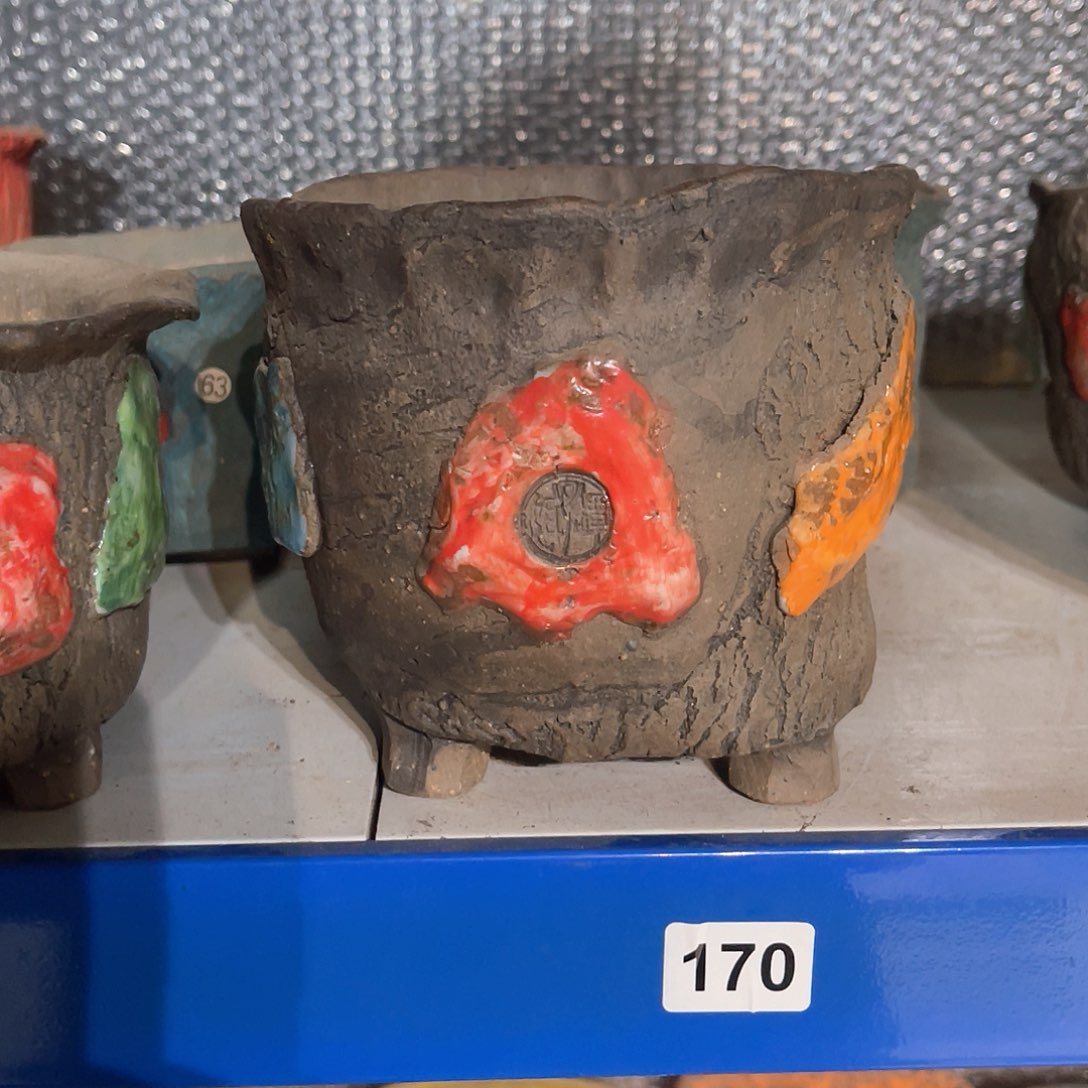 红陶爱****肉微瑕特价13-12