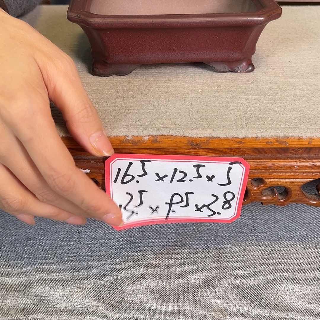 紫砂花盆F*5889959998563669