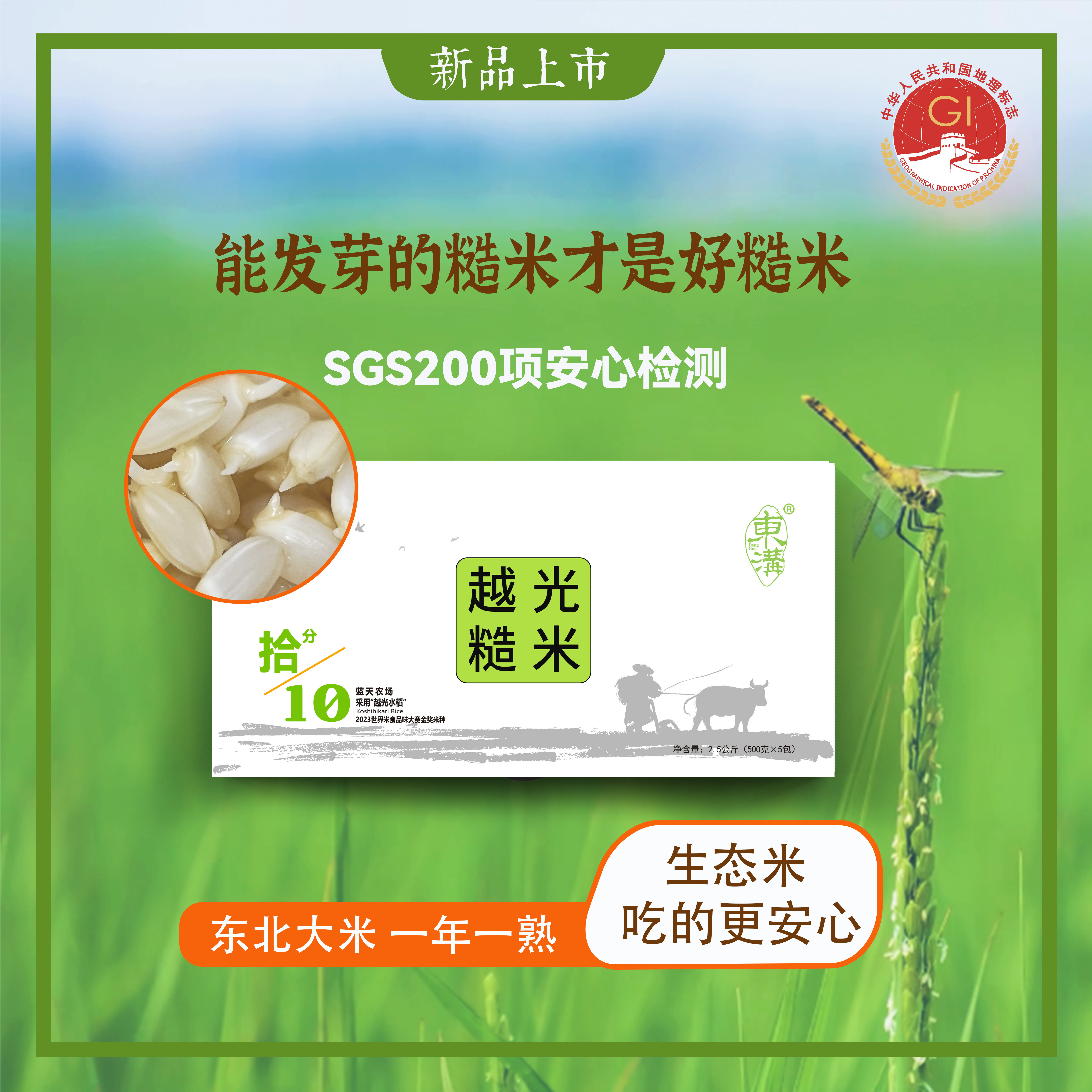 東溝【2025年新米】生态十分糙米 | 5斤东北糙米饭粗粮杂粮真空直播