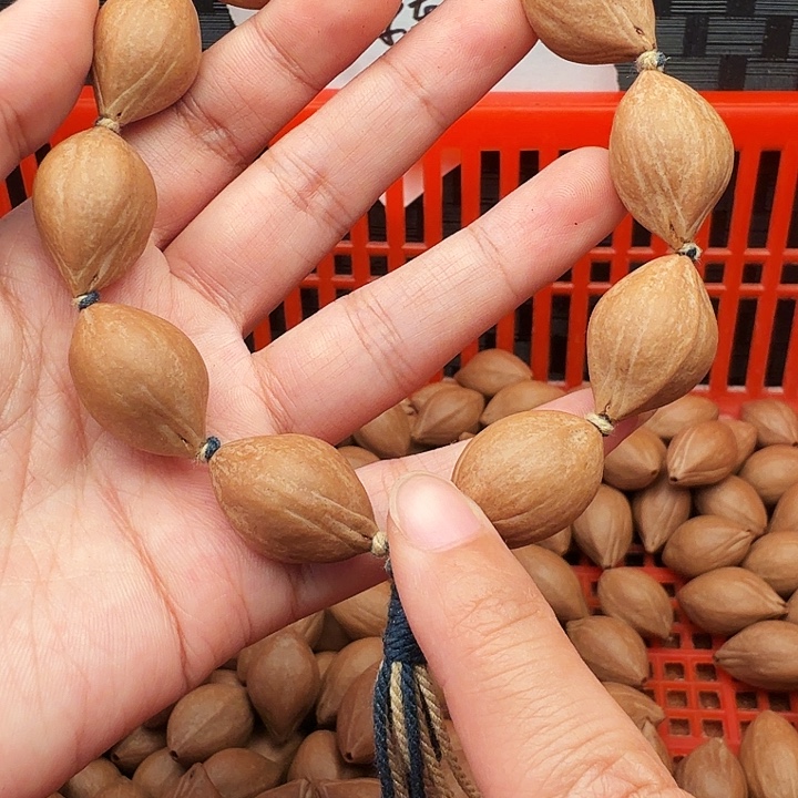 曾***…橄榄核手串/手链橄榄