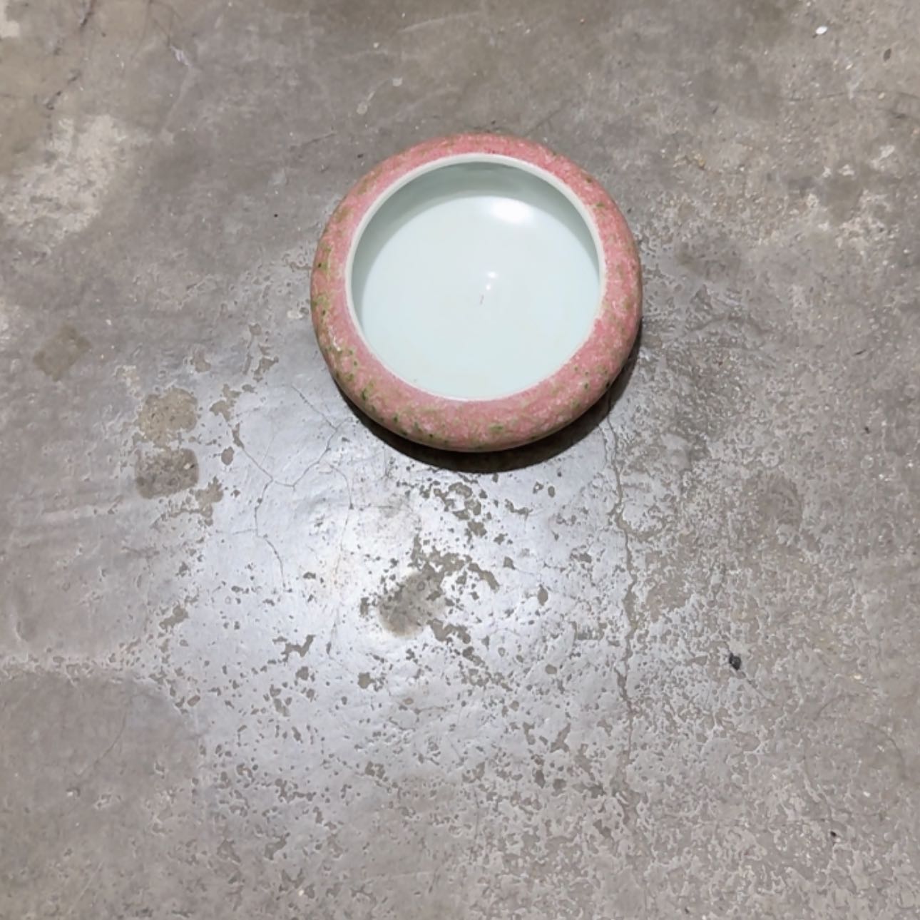 【闪购商品】健****9豆红水洗