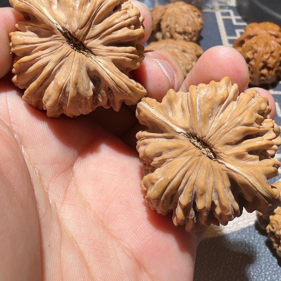 文玩核桃把件平谷楼