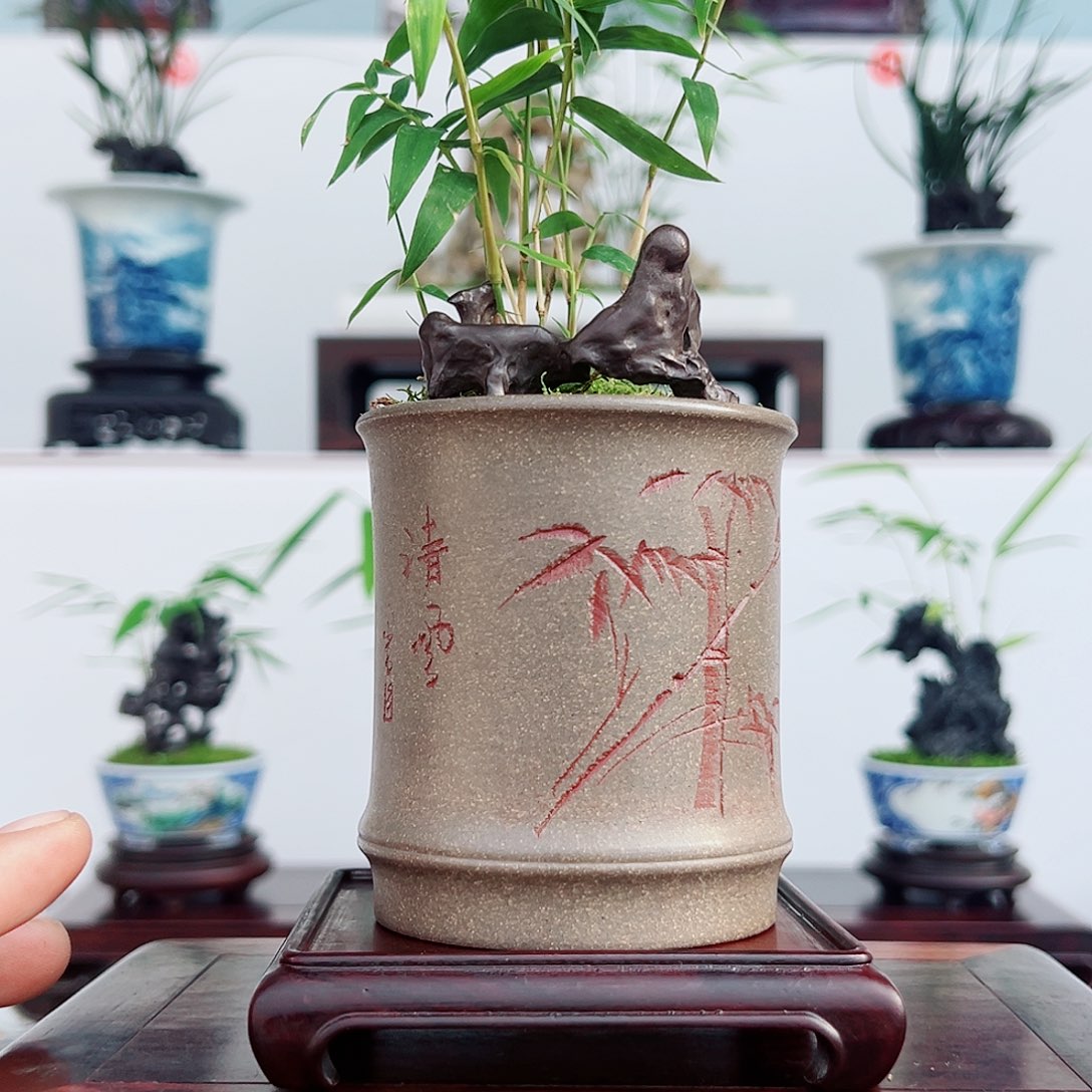 人***人无花朵盆景，凤尾竹，太湖石