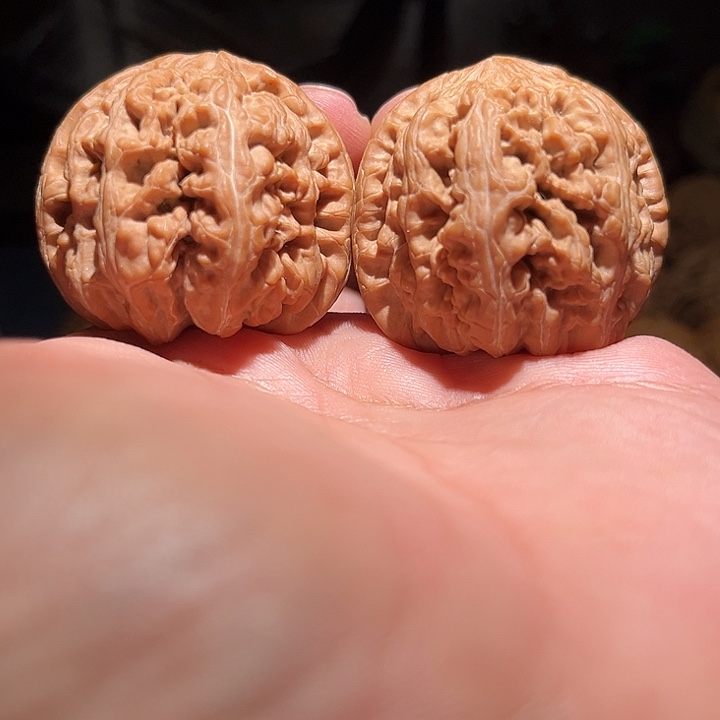 木43.5精品全品大粗筋。