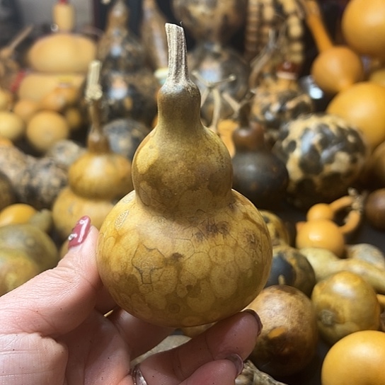 琳*葫芦葫芦葫芦葫芦