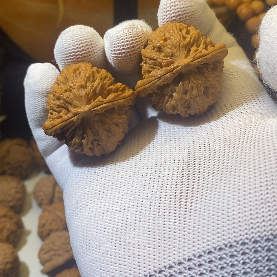 文玩核桃把件40尺全品白狮子