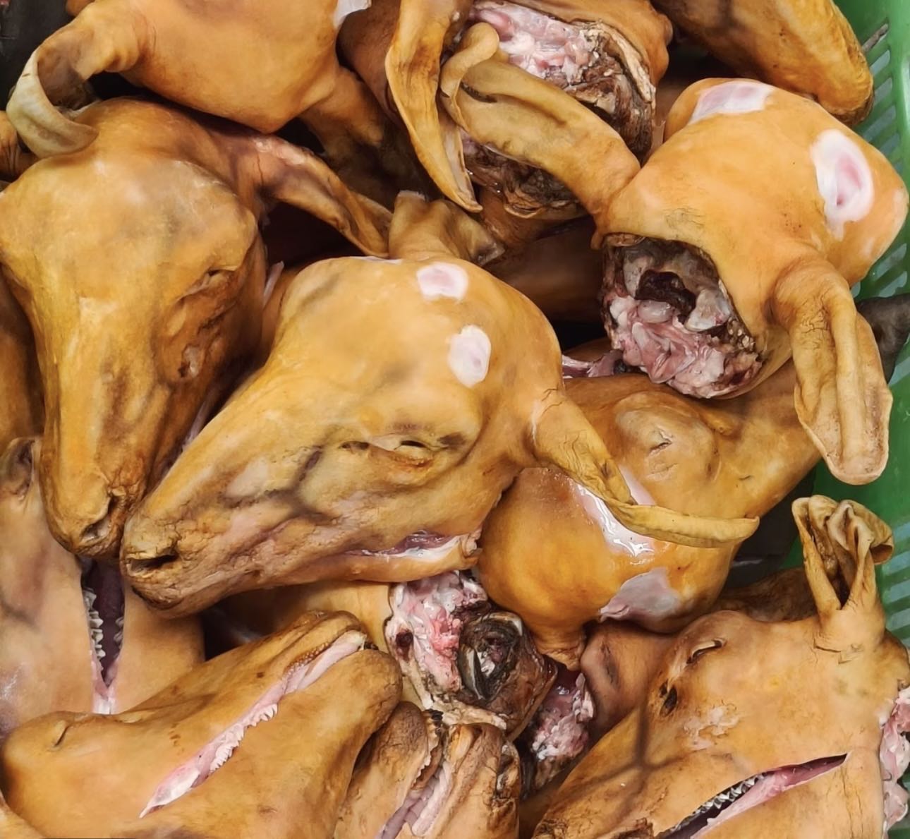 只发新疆，喀什本地火烧羊头