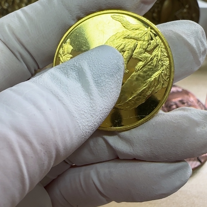 其他普通金属风采铜章一枚