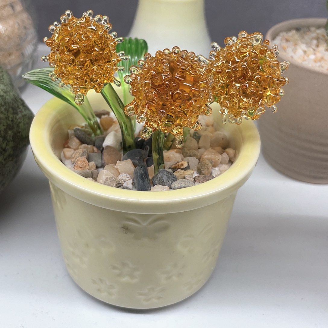 茶宠我也不知道我为什么要