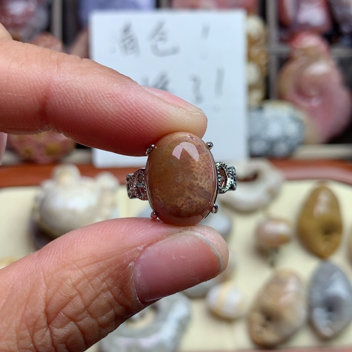 硅化珊瑚（珊瑚玉）颈饰未镶嵌