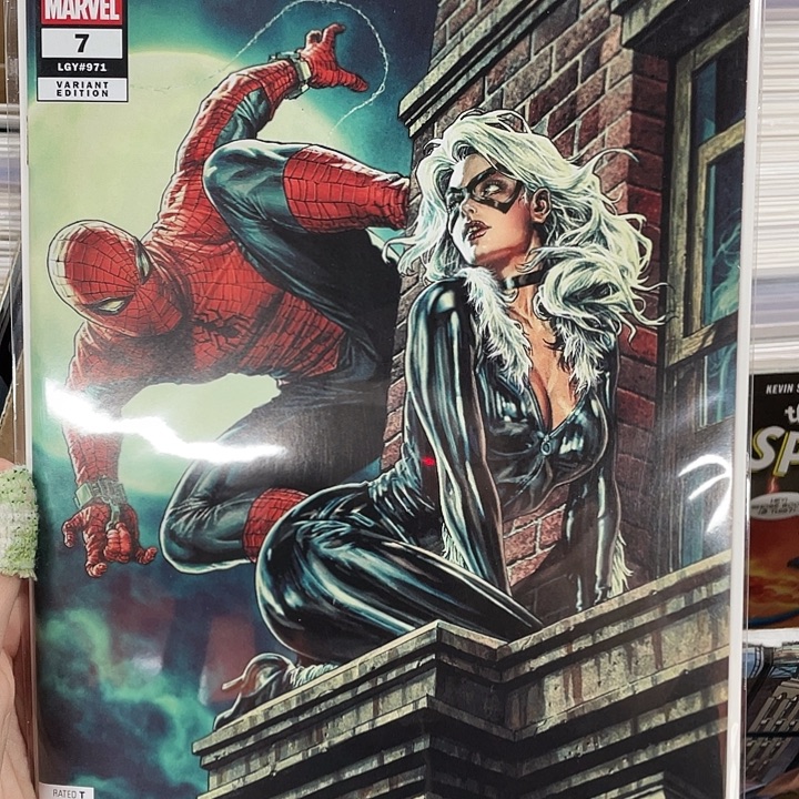 蜘蛛侠黑猫1:25比例