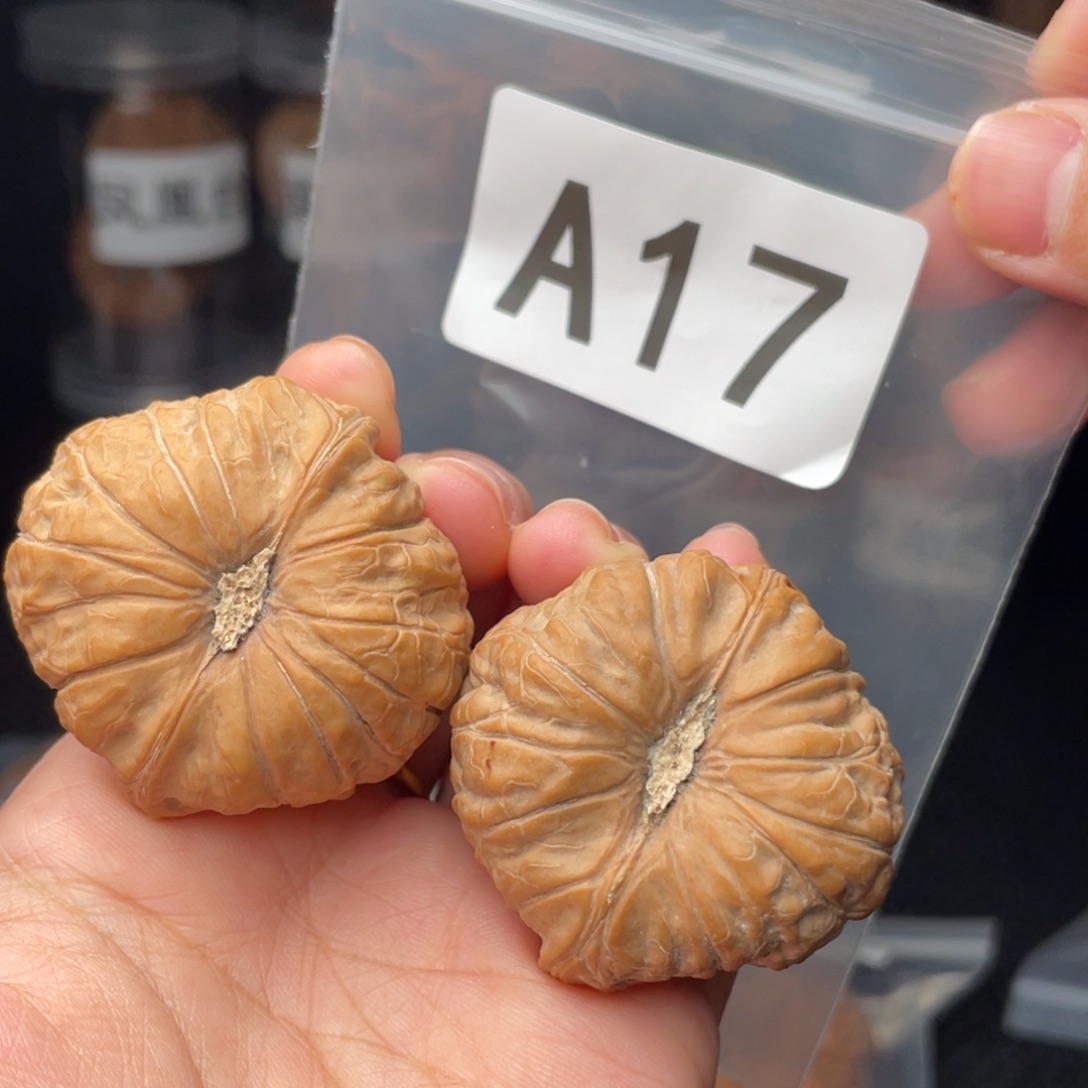 文玩核桃把件41南瓜