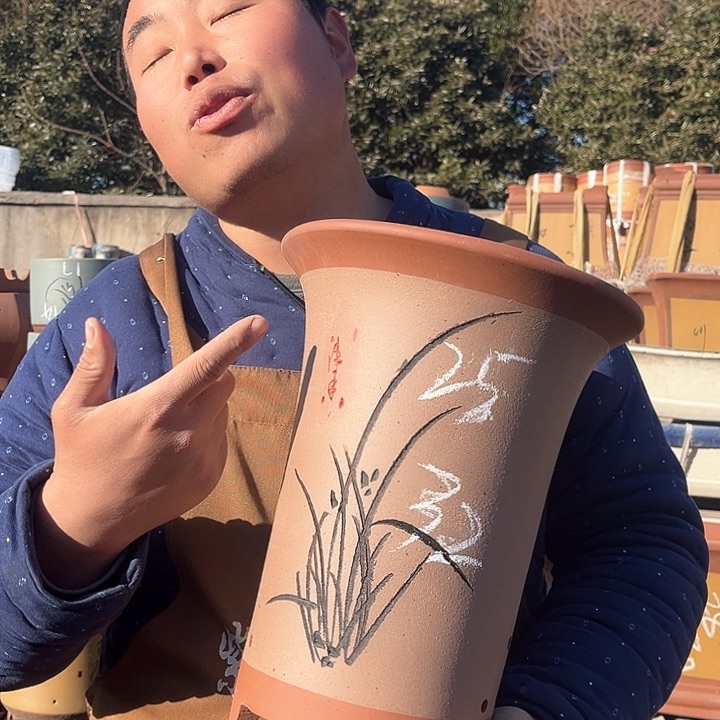 紫砂紫砂花盆盆栽