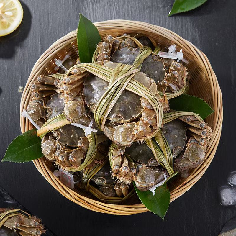 【现货现发】2.5两全母蟹10只装苏州活蟹产地直发顺丰京东包邮到家海鲜