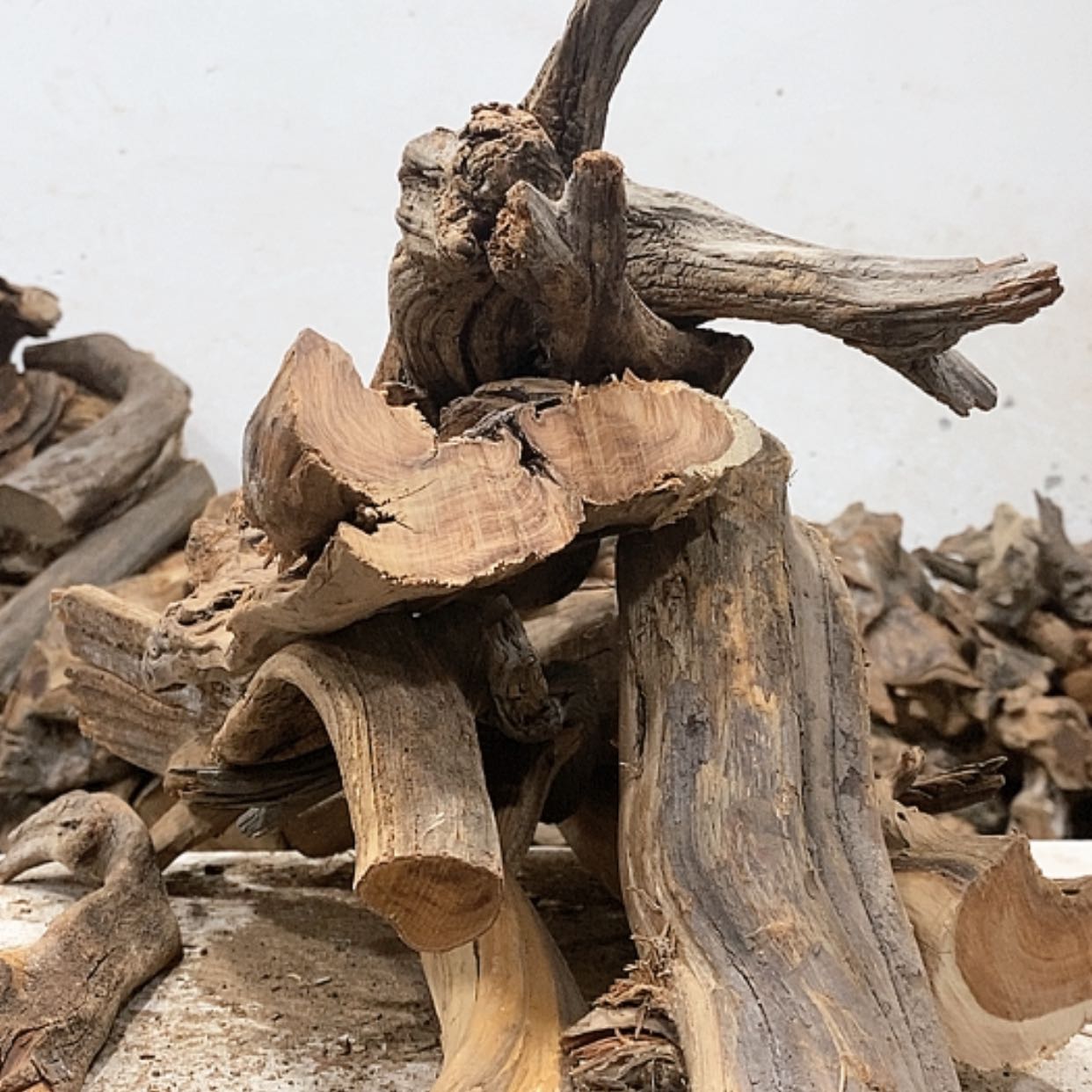 【闪购商品】柏木小*倩我们都是好孩子