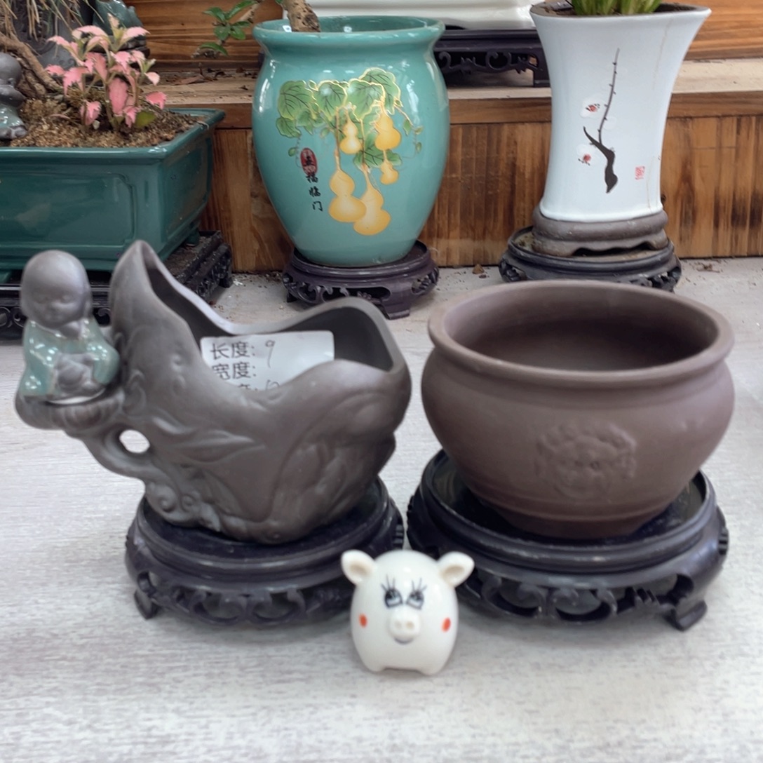 陶瓷紫砂花盆抢购福利