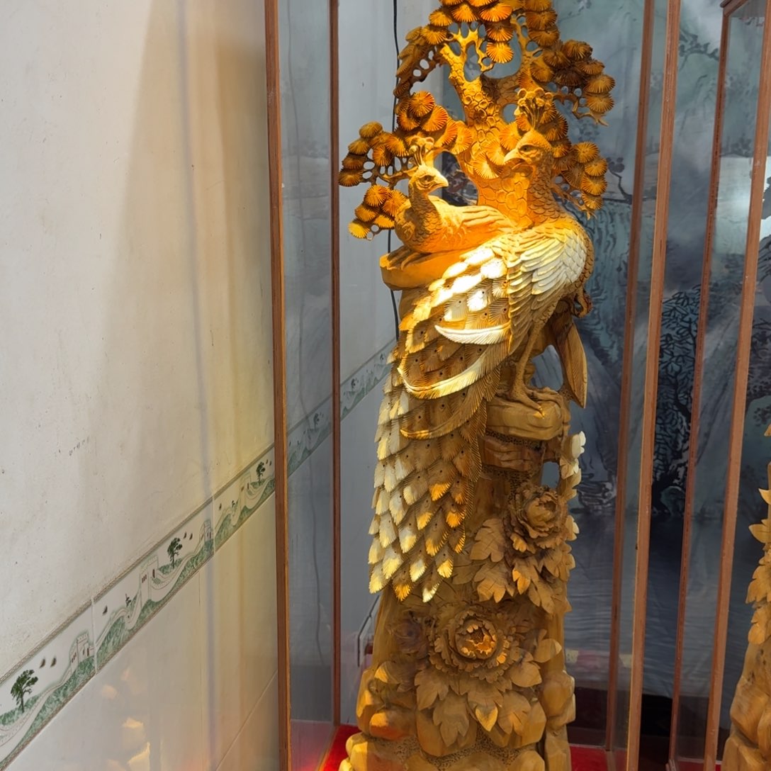 收***备柏木（崖柏）崖柏11111111