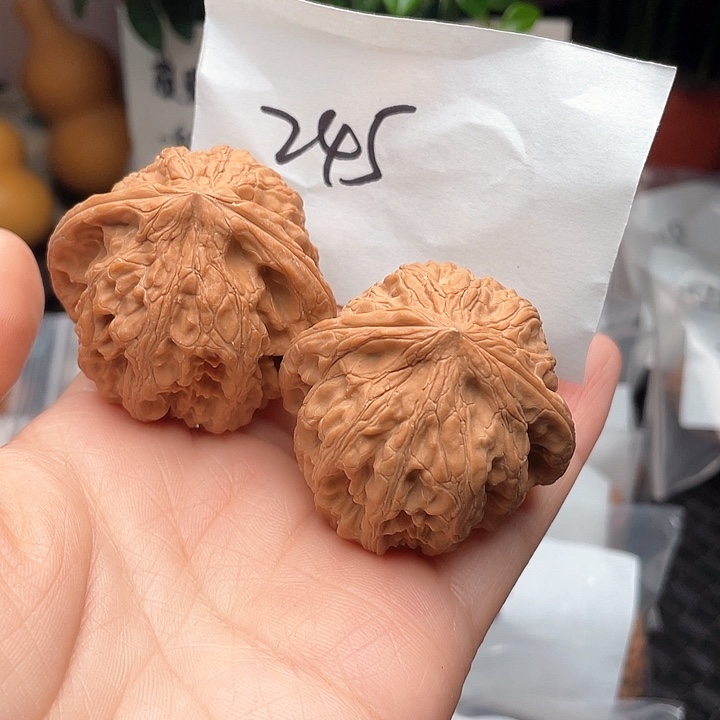 45+尺寸白茬无修靠山王