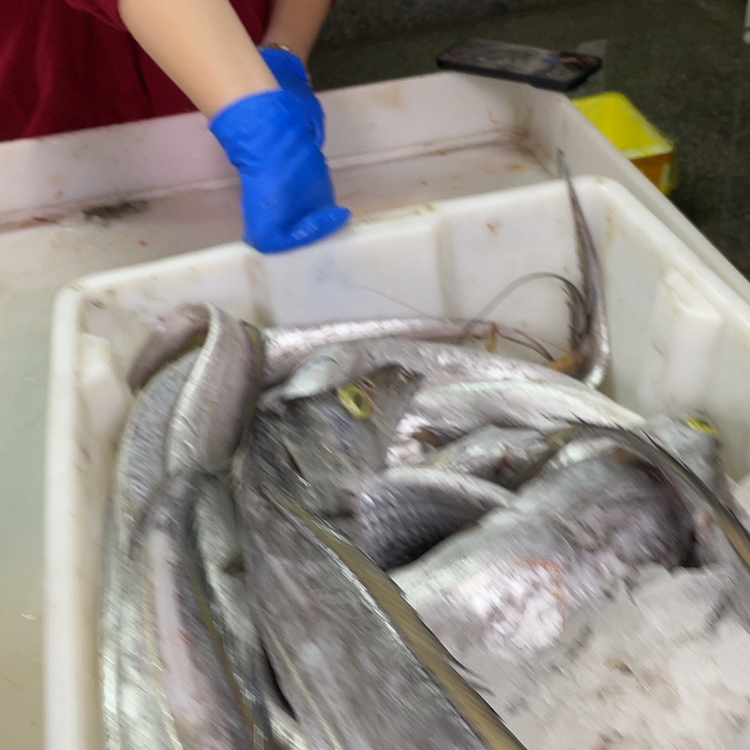 中国大陆本港野生带鱼新鲜海鲜顺丰包邮