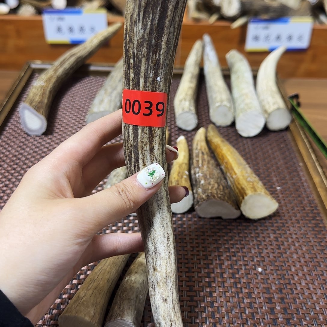 鹿骨手串/手链角尖0039