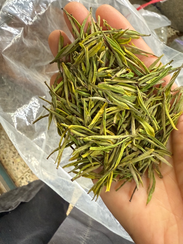《金香玉》2025年新茶 甜香鲜爽 不苦涩 绿茶口粮茶叶