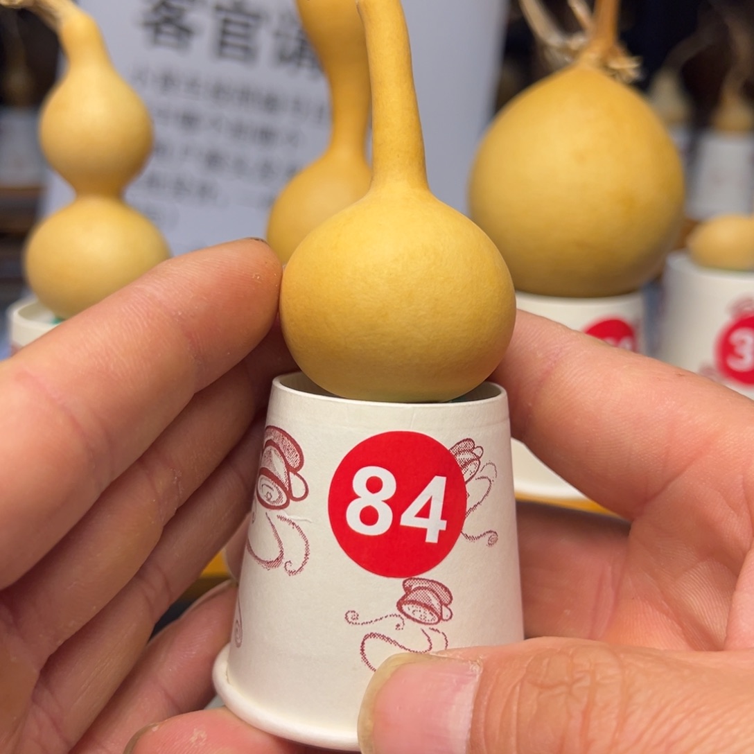 闪电购自助下单编号84