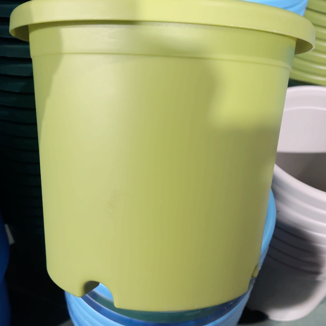 树脂特价4#无拖果绿8个