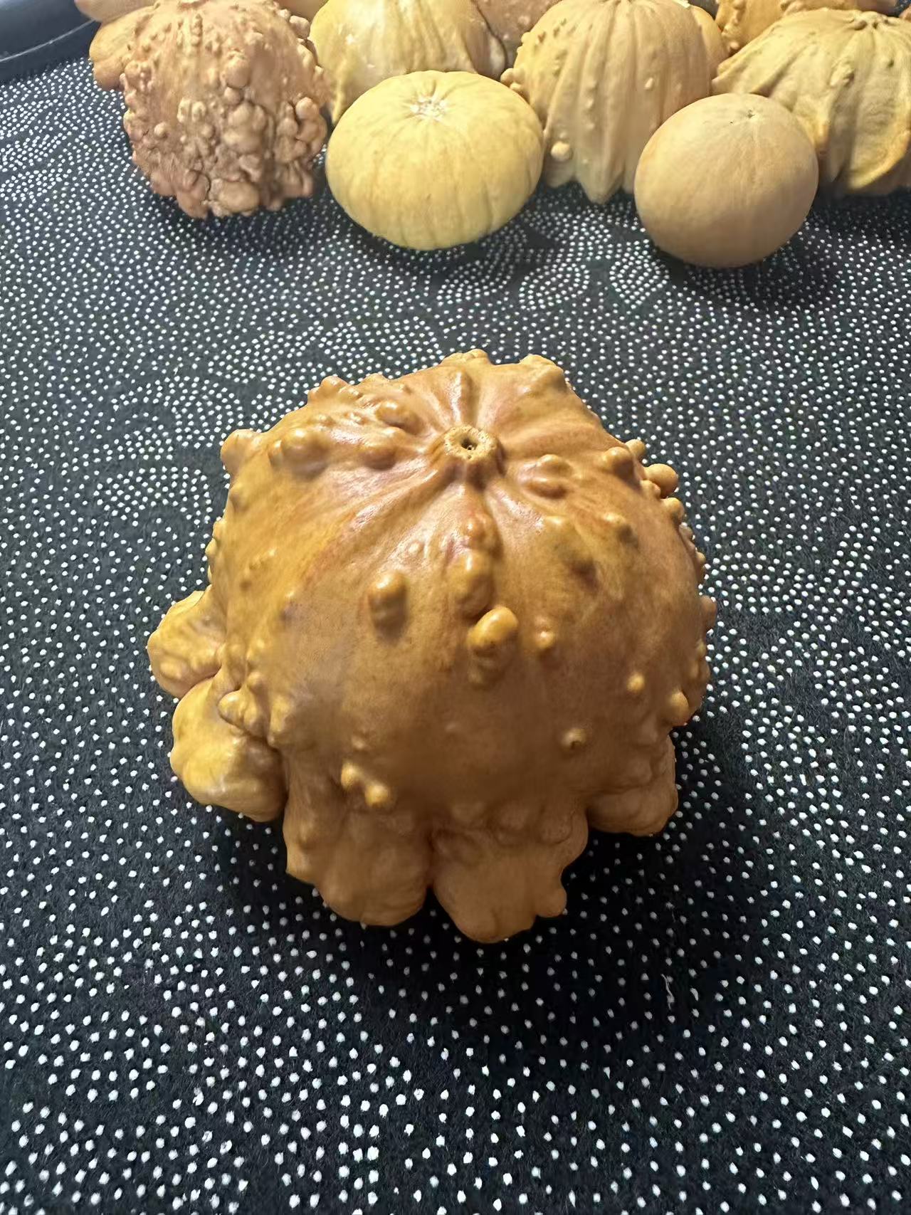 奇形异型疙瘩葫芦文玩手捻手把件天然摆饰适合电脑桌小饰品