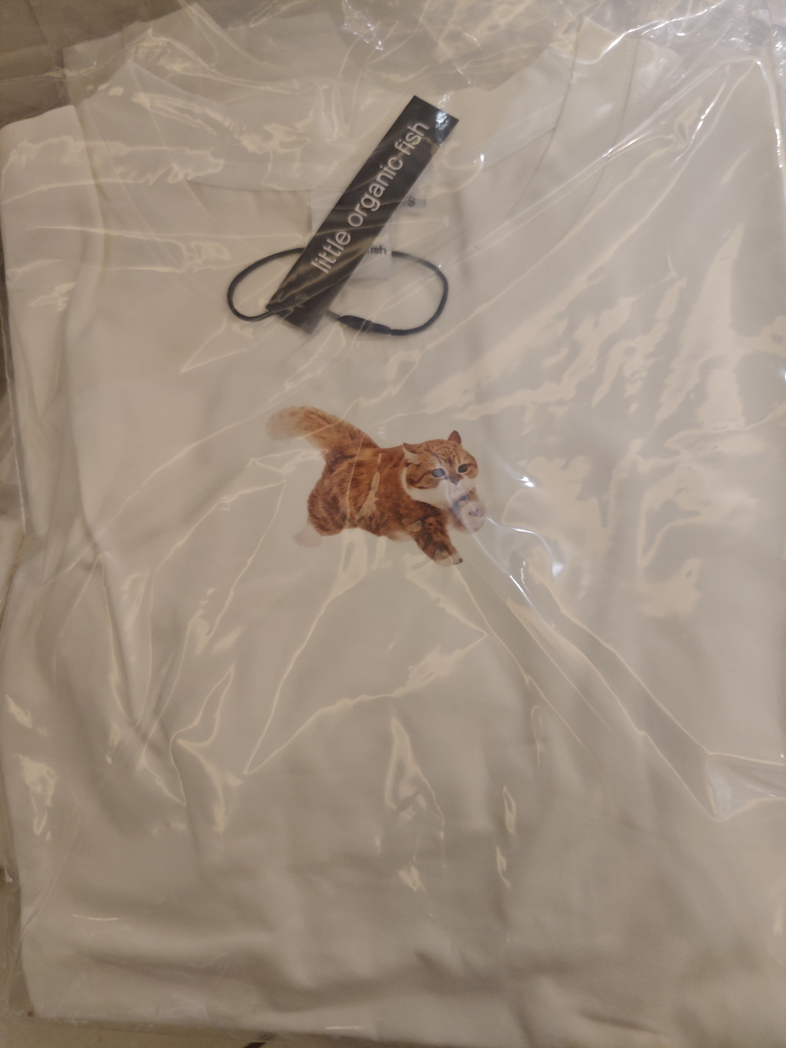 夏天白色小猫小熊短袖t
