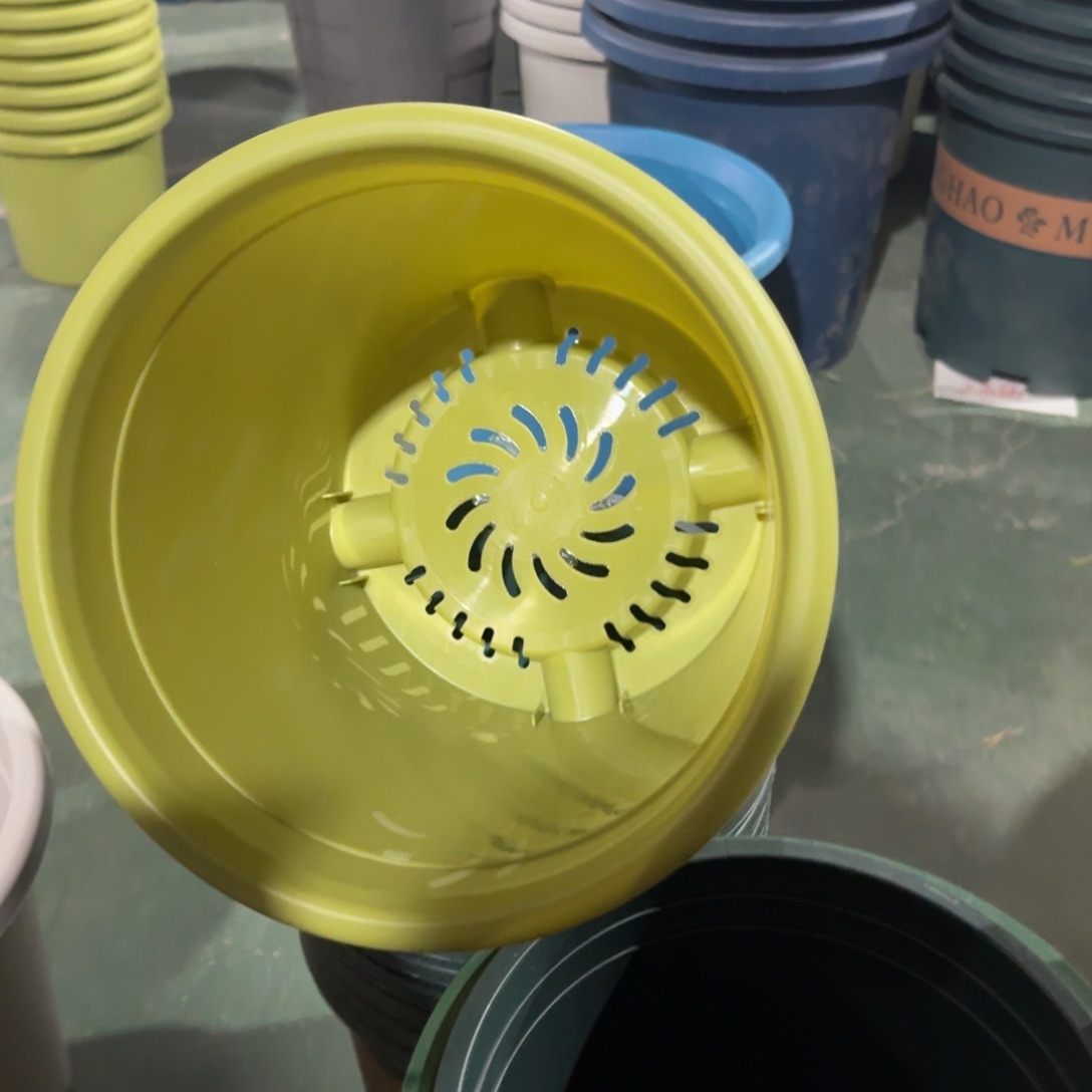 四季4号无拖果绿8个