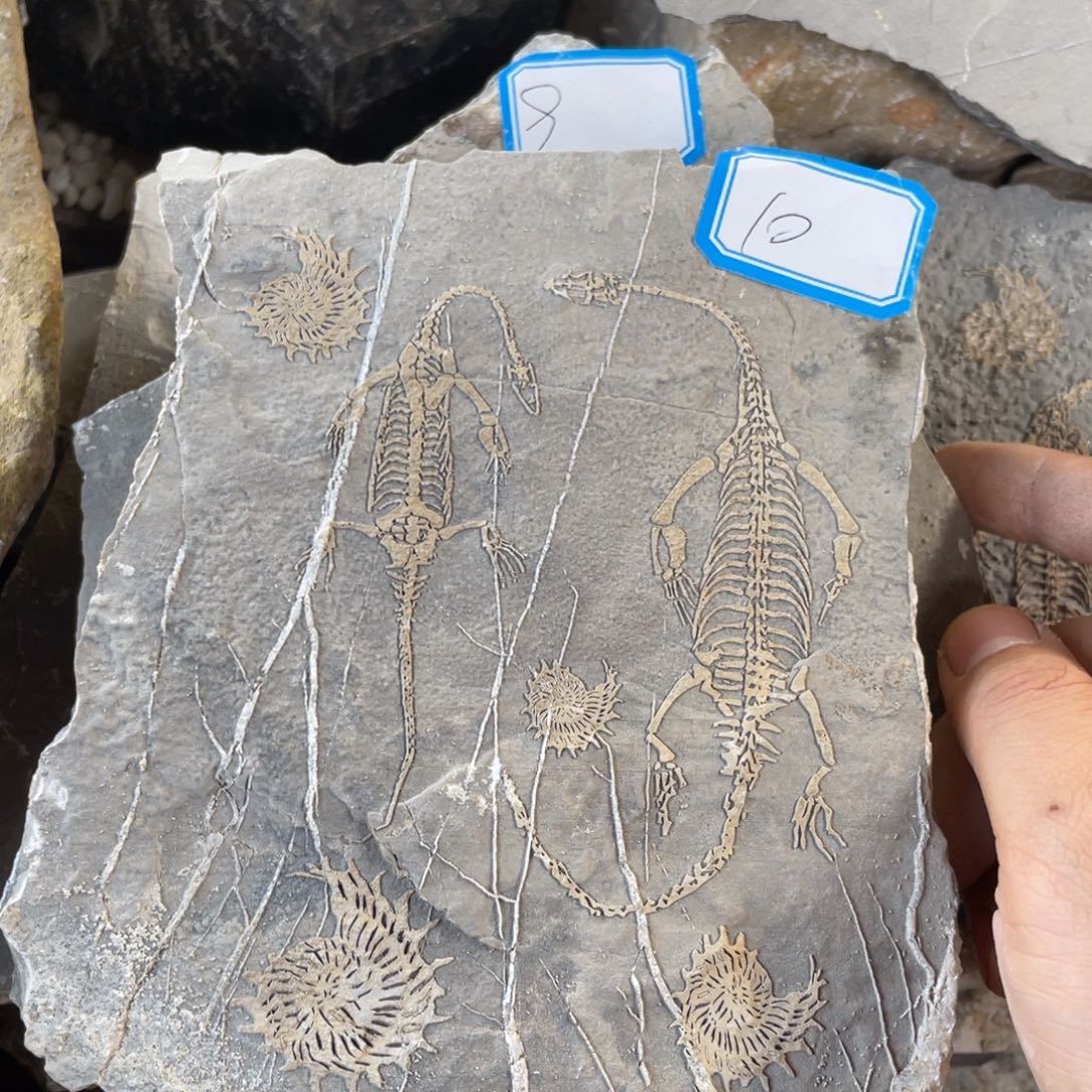 石材10000000000000000000