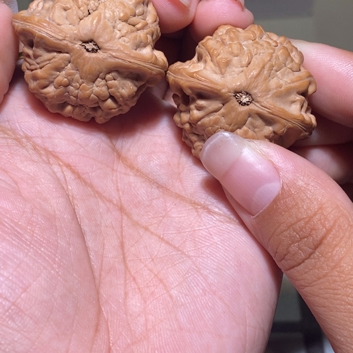 甜***笔核桃手串/手链金鱼