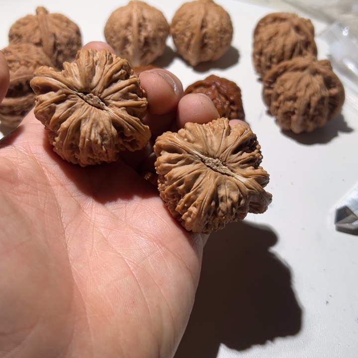 K***j把件文玩核桃白狮子