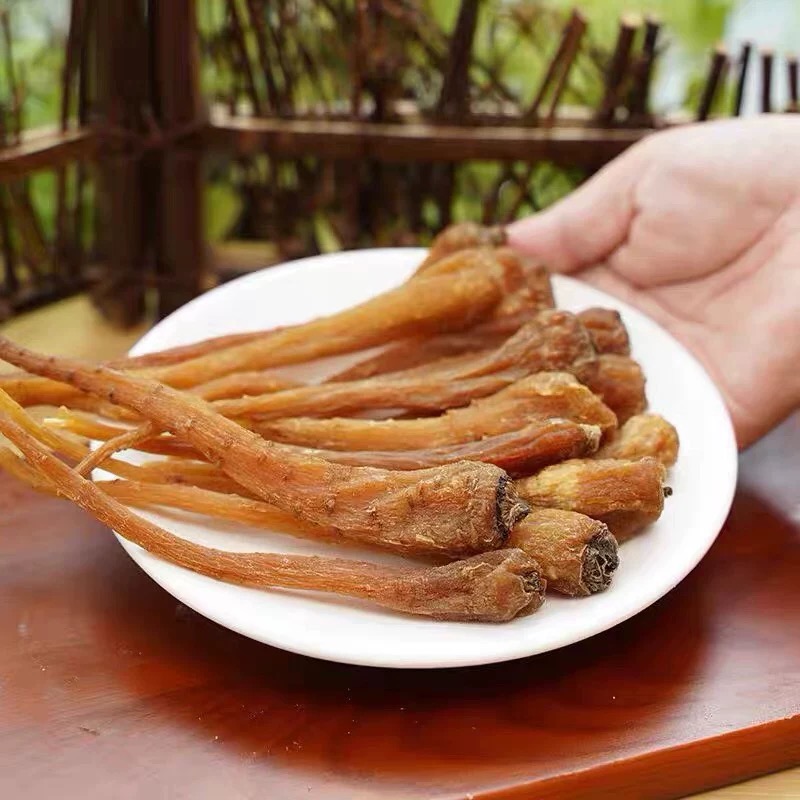 小阿妹家的高山【藏王参】500克 龙少专属19