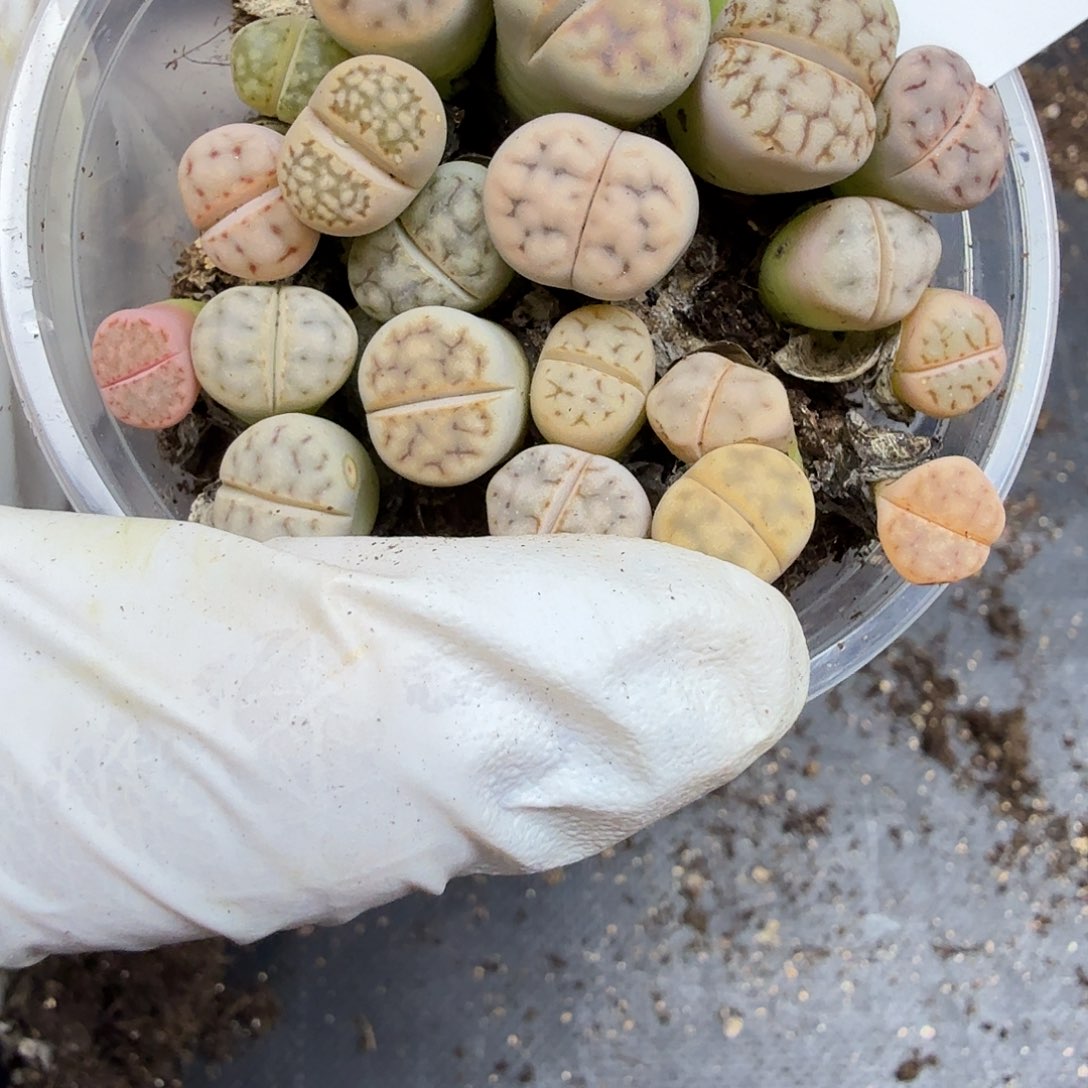 是一个不想被414这个