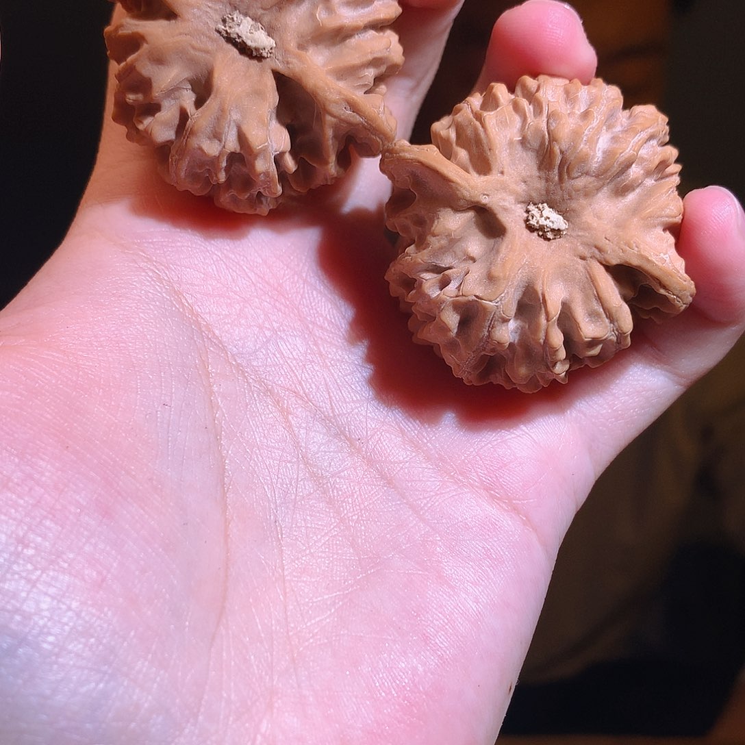 文玩核桃吊坠45尺苹果毕业