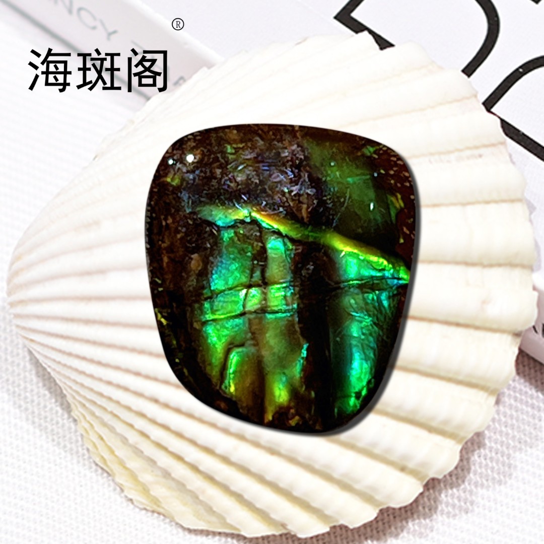 【海斑阁】天然加拿大斑彩宝石有机宝石收藏树脂覆膜裸石DLS-25115
