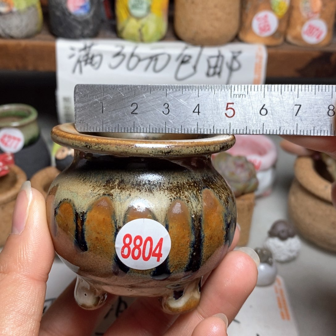 红陶拍5送一个小