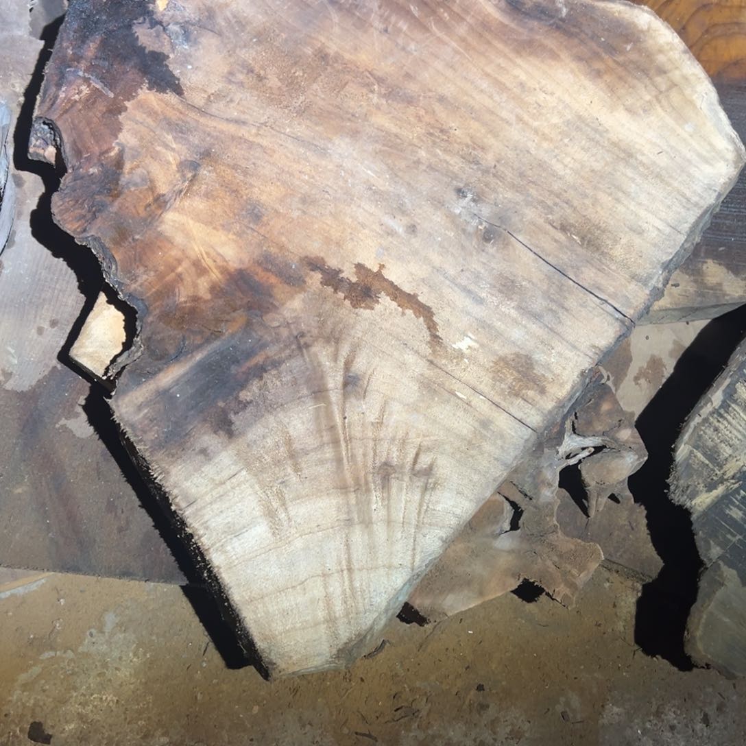 金丝楠坏****！2222222222222