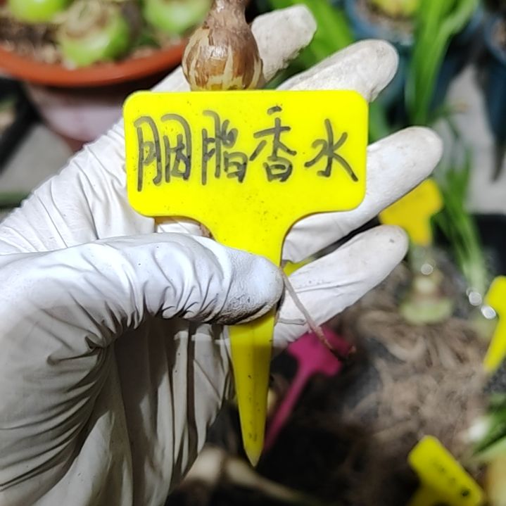 台朱-姻脂香水1.8