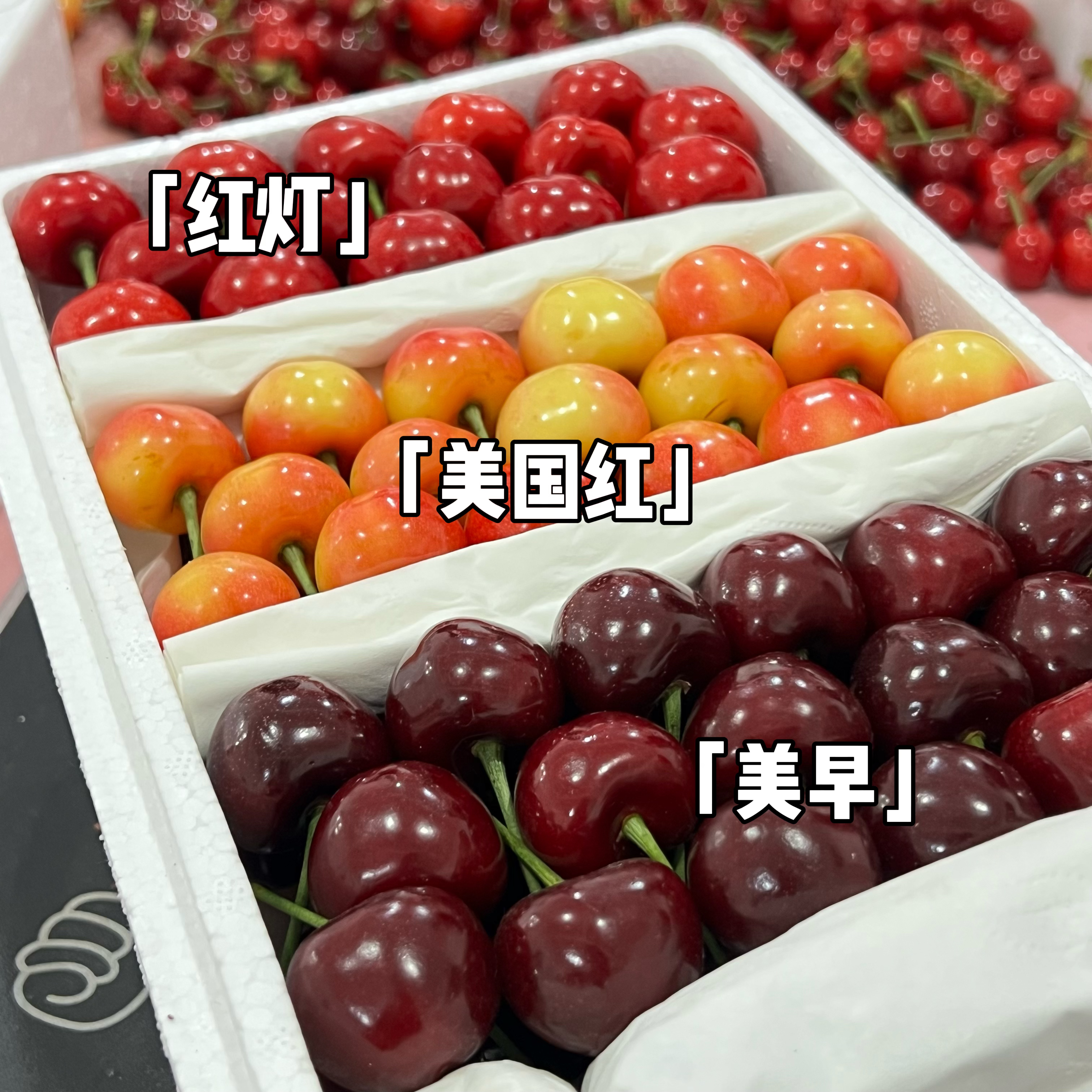 【红黄粉3拼】3斤美早/美国红/红灯大连陆地樱桃直发（净果2.6斤）