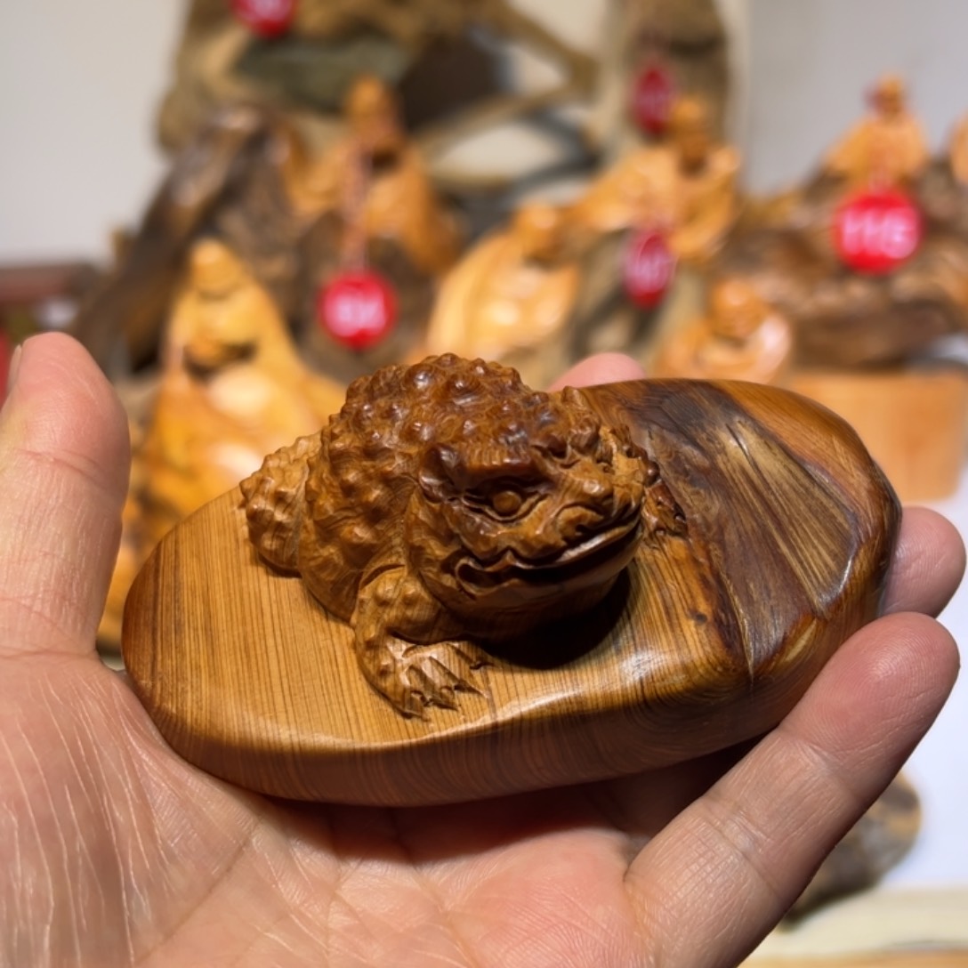 柏木（崖柏）我是一只小小鸟地域鬼的