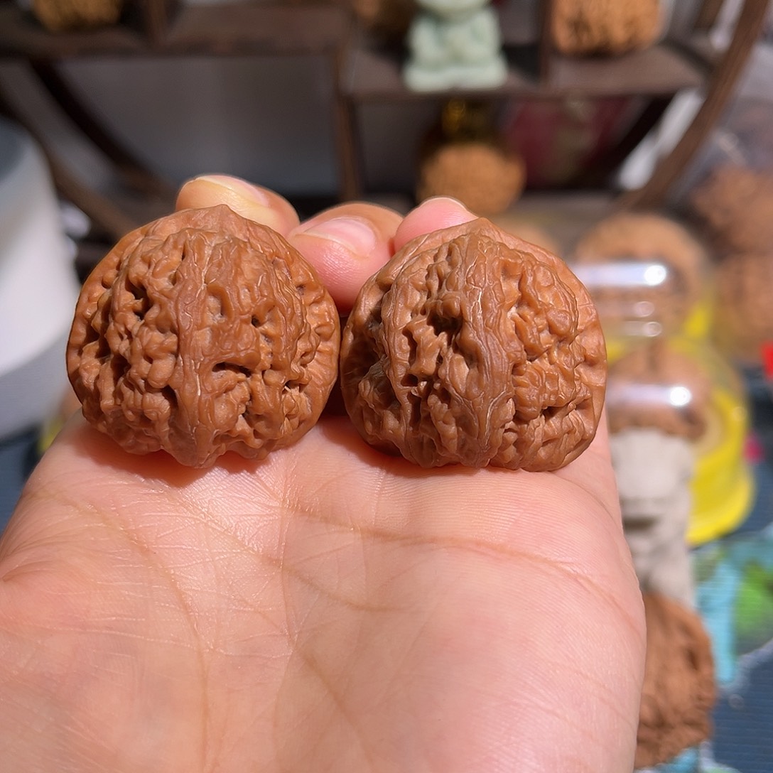 核桃石墩老树红红皮