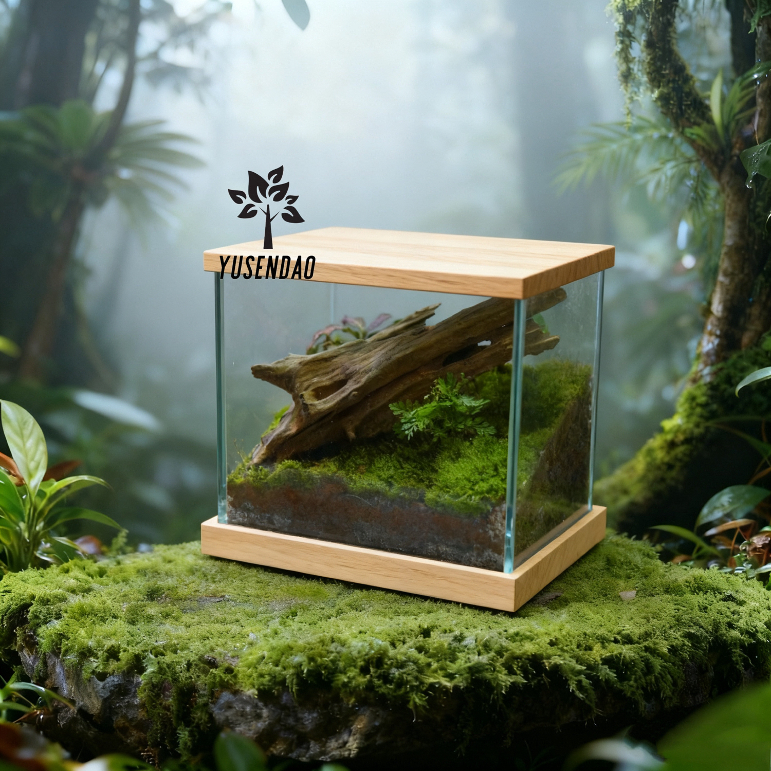 减压治愈苔藓桌面微景观